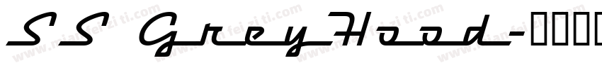 SS GreyHood字体转换